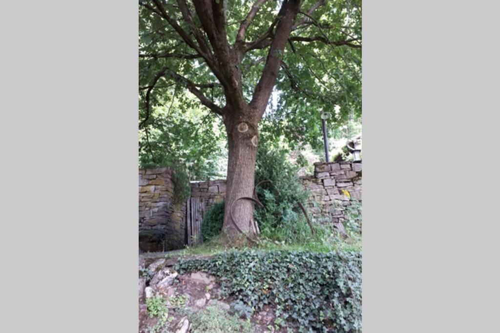 Eine Gemuetliche Ferienwohnung Mit Garten Бад-Карлсхафен Экстерьер фото